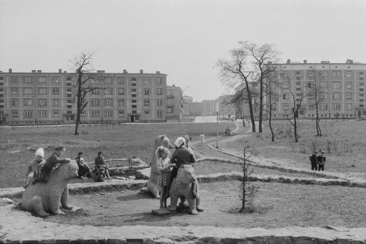 Archiwalne zdjęcie niedźwiadków