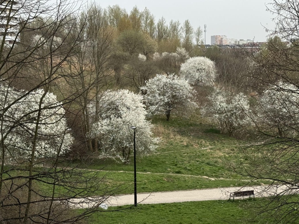 Wiosna w Lublinie rozkwitła kolorami! 