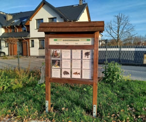 Park kieszonkowy Siedlce, ul. Traugutta