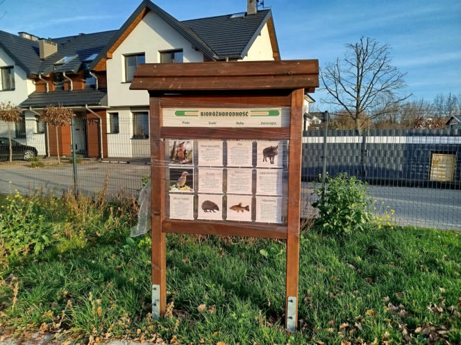 Park kieszonkowy Siedlce, ul. Traugutta