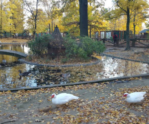 Park 1000-lecia w Lesznie na chwilę przed zachodem słońca