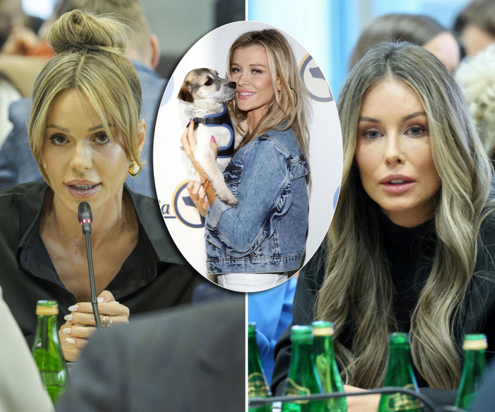 Goście Zespołu ds. Ochrony Zwierząt w Sejmie