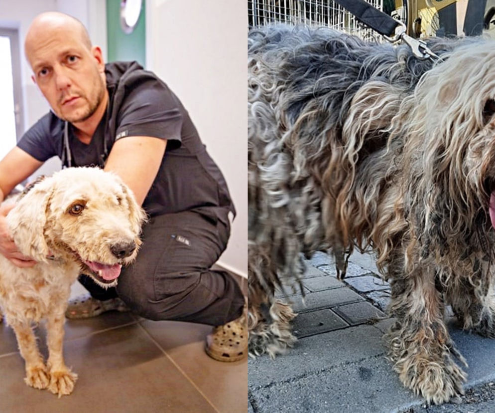 WEST 