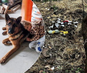 Zabrali dzieciom psa. Urzędnicy przyznali później: nie było podstaw! Oliwka i Emilka pytają, kiedy wróci