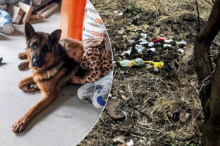 Zabrali dzieciom psa. Urzędnicy przyznali później: nie było podstaw! Oliwka i Emilka pytają, kiedy wróci