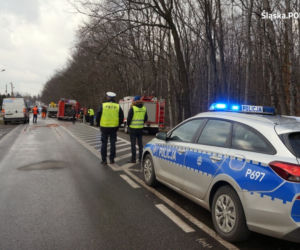 Wypadek w Rybiku. Cztery osoby poszkodowane, w tym dwoje dzieci [ZDJĘCIA]