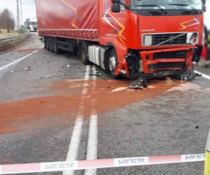 Poświętne: Mercedes rozerwany na dwie części po zderzeniu z TIR-em. W środku 5 młodych osób. Dwie zginęły [ZDJĘCIA]