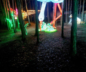 Lumina Park Bydgoszcz