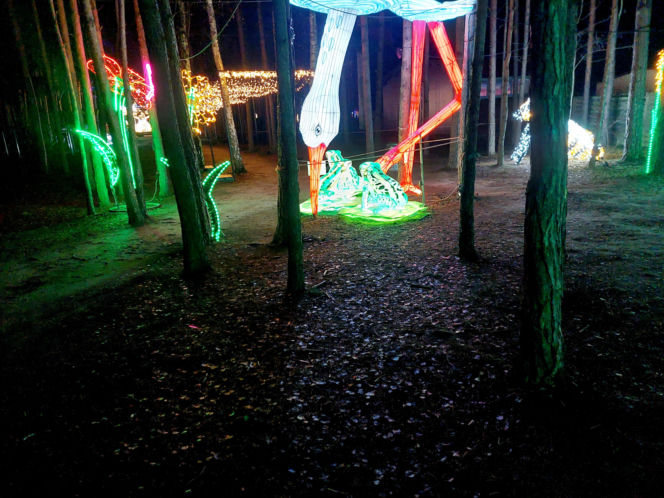 Lumina Park Bydgoszcz