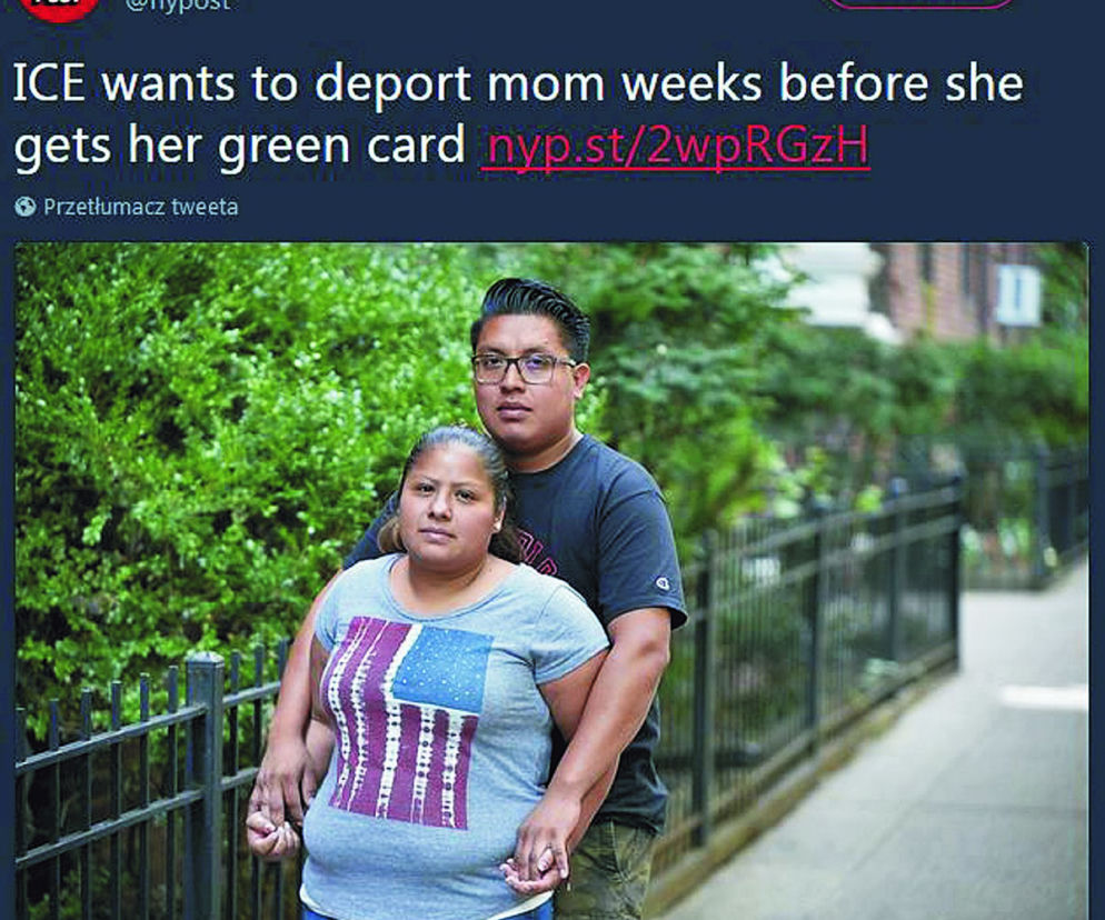 Deportacja zamiast zielonej karty 