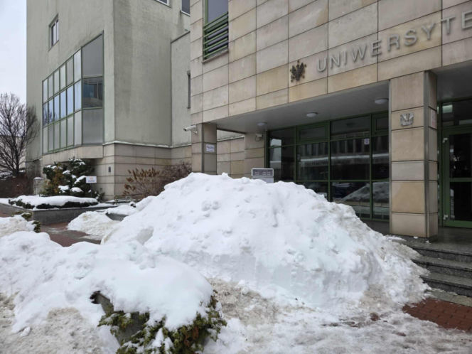 Igloo powstało przed wejściem na Wydział Biologii UW - zima 2026