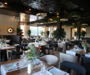 Magda Gessler otwiera restaurację Natura. Tak szalała na parkiecie