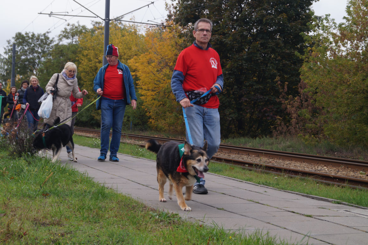 Parada Psów Adoptowanych w Bydgoszczy 2022 [ZDJĘCIA]