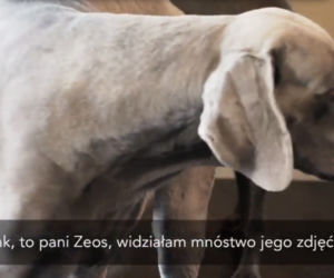 Żony Hollywood. Kinga Korta