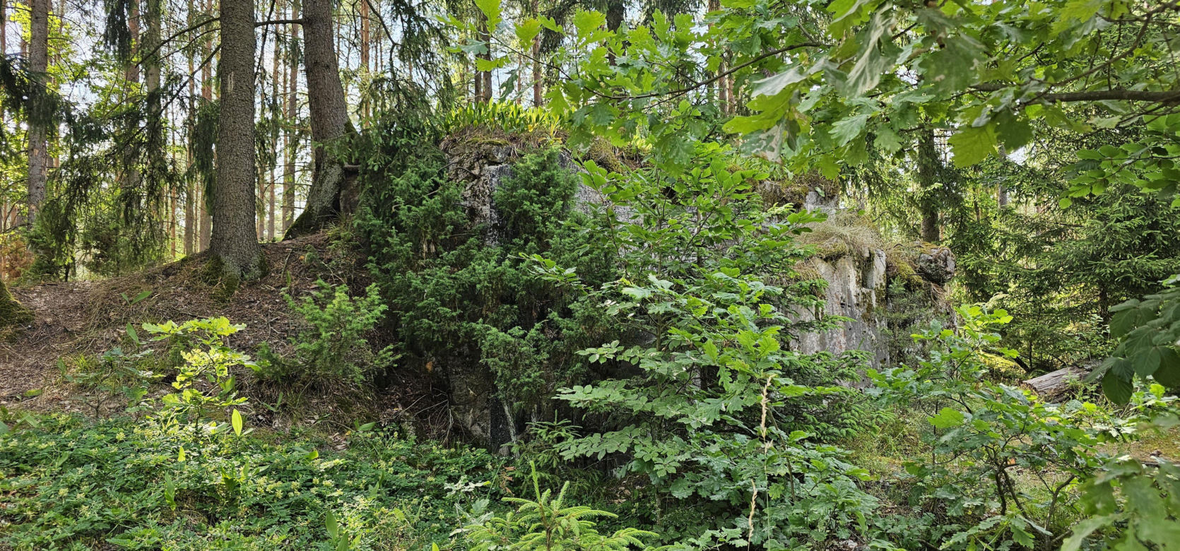 Odwiedziłam jeden z piękniejszych powiatów na Mazurach. To prawdziwy „szlak bunkrowy”