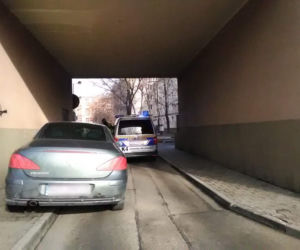 Tak się parkuje w Gliwicach. Straż Miejska opublikowała zdjęcia Miszczów z lutego [GALERIA]