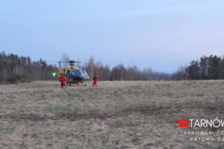 Wypadek w lesie w Czermnej. 10-latek spadł z ciągnika [ZDJĘCIA]