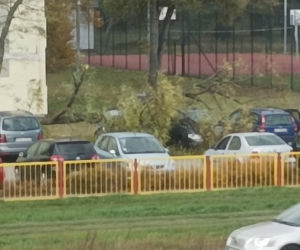 Wichury w Toruniu. Żywioł wywracał drzewa i nie tylko