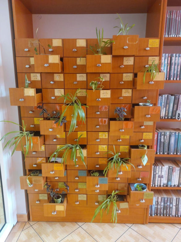 Bibliotekarze z Piekar Śląskich zachęcają do dzielenia się zielonym na Facebooku