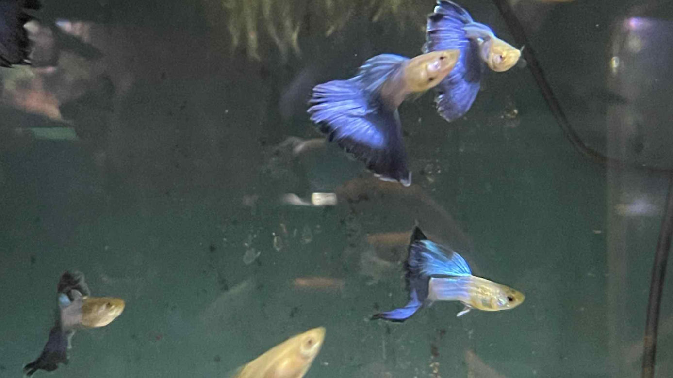 Rozmawiamy z Tomaszem Wiśniewskim, założycielem Aqua Dreams Bydgoszcz