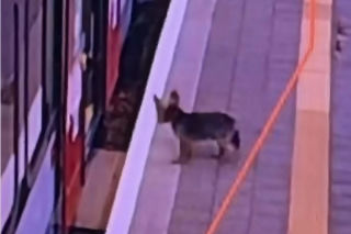 Sam wsiadł do pociągu i pojechał na gapę. Przechadzał się po wagonie i odwiedzał pasażerów