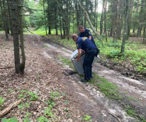 Koło Poznania znaleziono dużego jastrzębia. Ptak nie mógł latać! 