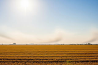 Lato 2026 w Polsce. IMGW ujawnia miesiąc prawdziwych upałów?