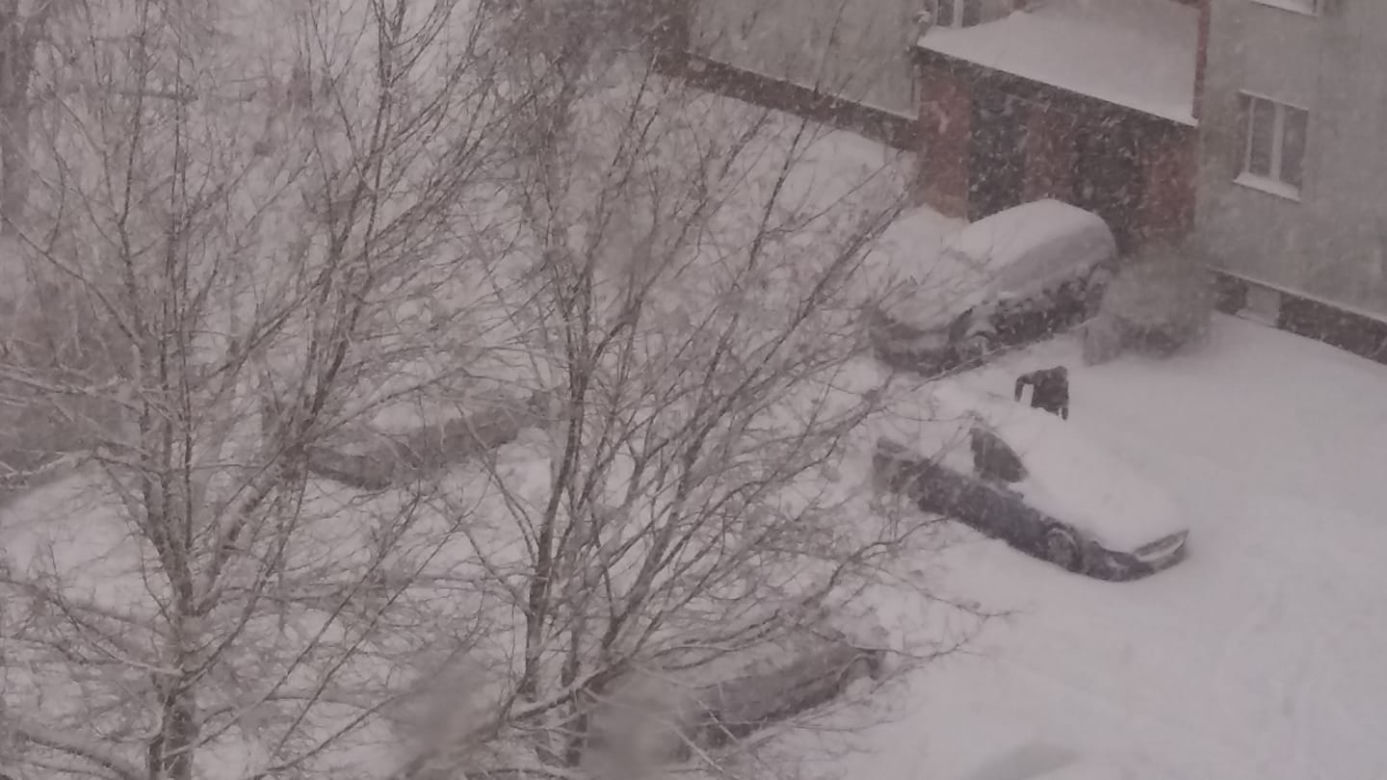Białystok. Atak zimy 15.01.2019