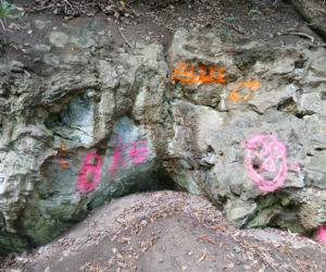Wandale zniszczyli przyrodniczy skarb pod Bydgoszczą. Jaskinia „Bajka” oszpecona farbą