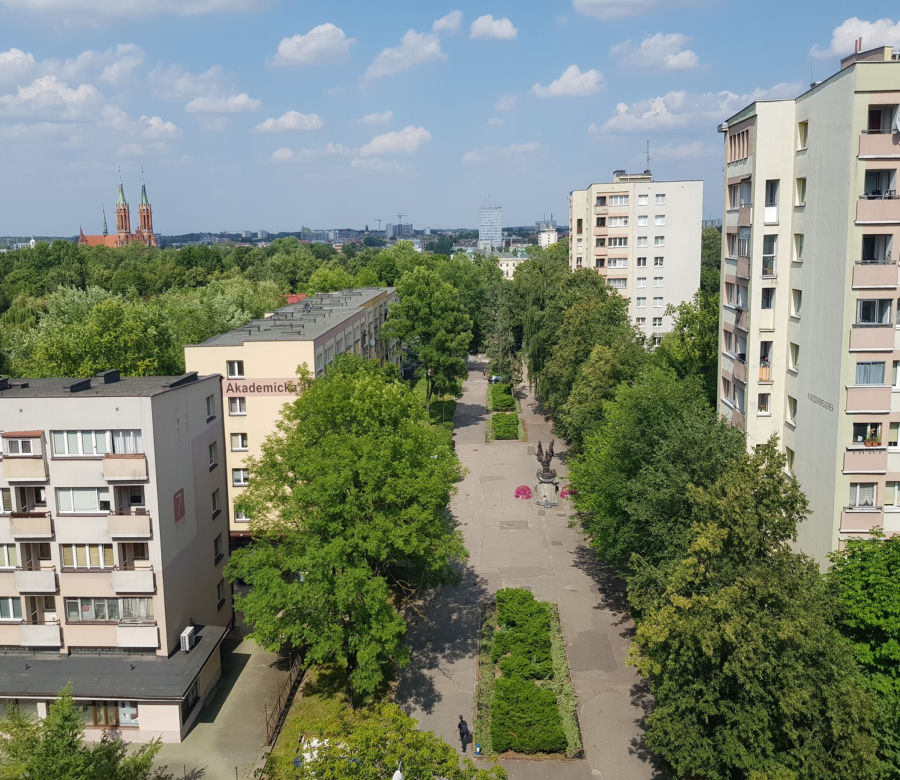 Odwiedziliśmy Letnią Czytelnię Książnicy Podlaskiej. Piękny widok na panoramę Białegostoku [ZDJĘCIA]