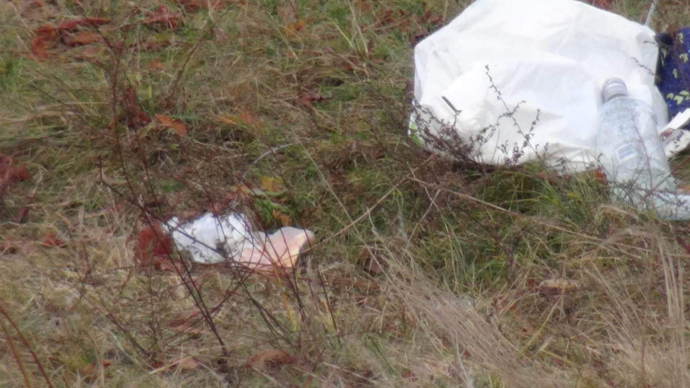 Atak nożownika pod Mińskiem Mazowieckim! Polała się krew, policja zatrzymała jedną osobę