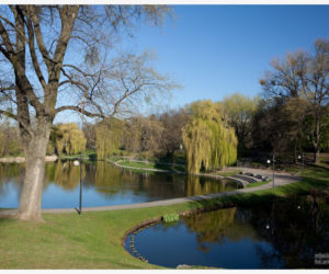 Park