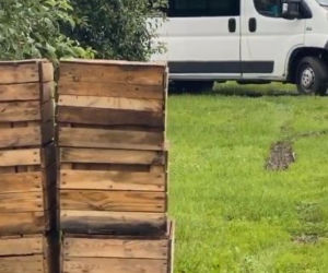 M jak miłość: sad Lucjana