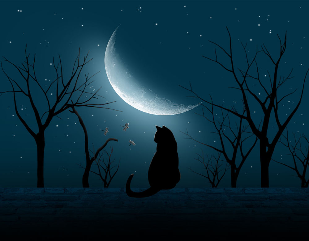 Horoskop