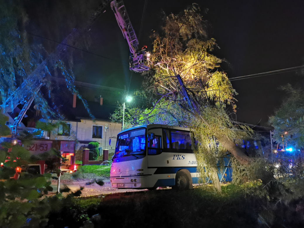 Wichura powaliła drzewo na autobus