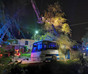 Wichura powaliła drzewo na autobus