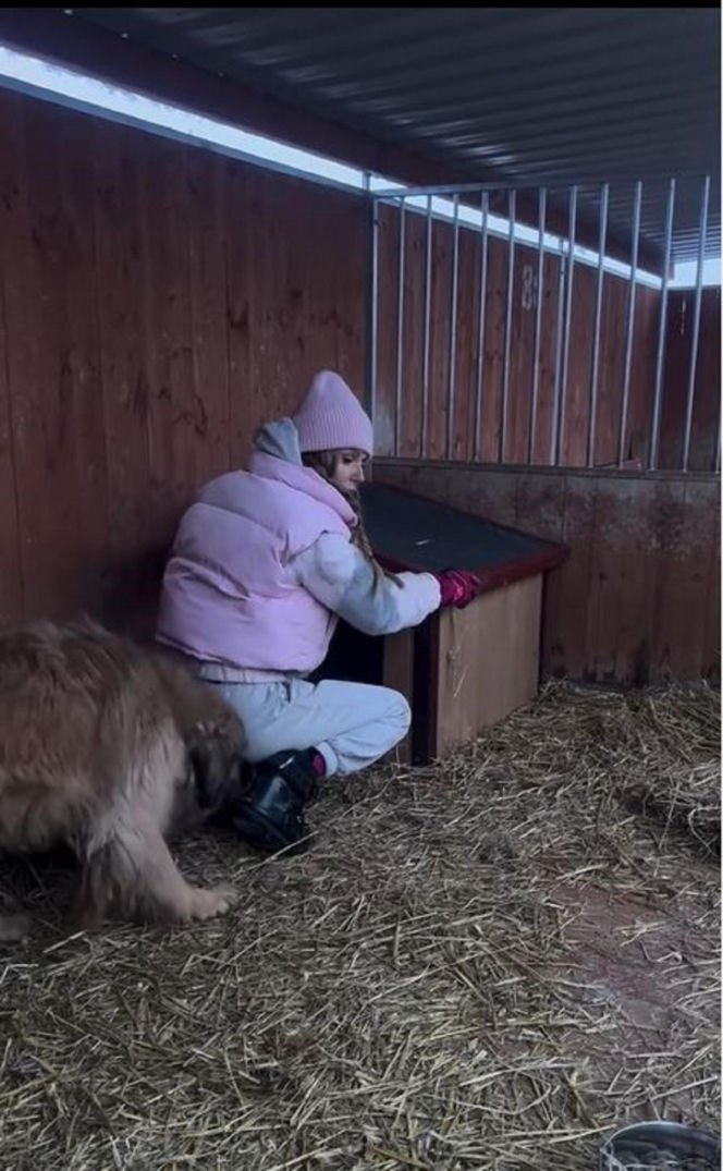 Doda kończy działania pomocowe dla schronisk. "Nie mogę dalej w tym zostać"