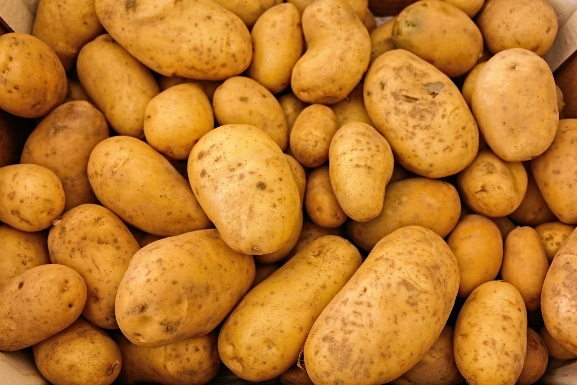 ZIEMNIAKI