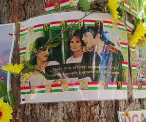 Drzewo pamięci Michaela Jacksona w Budapeszcie