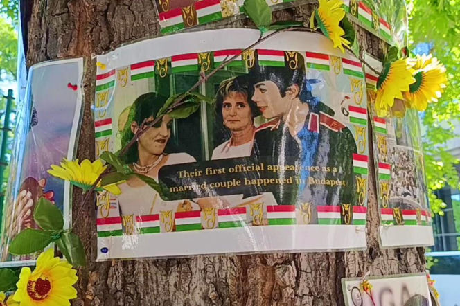 Drzewo pamięci Michaela Jacksona w Budapeszcie