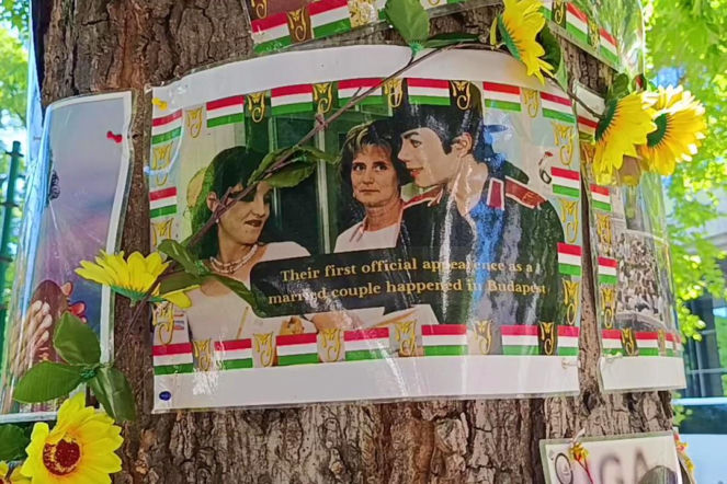 Drzewo pamięci Michaela Jacksona w Budapeszcie