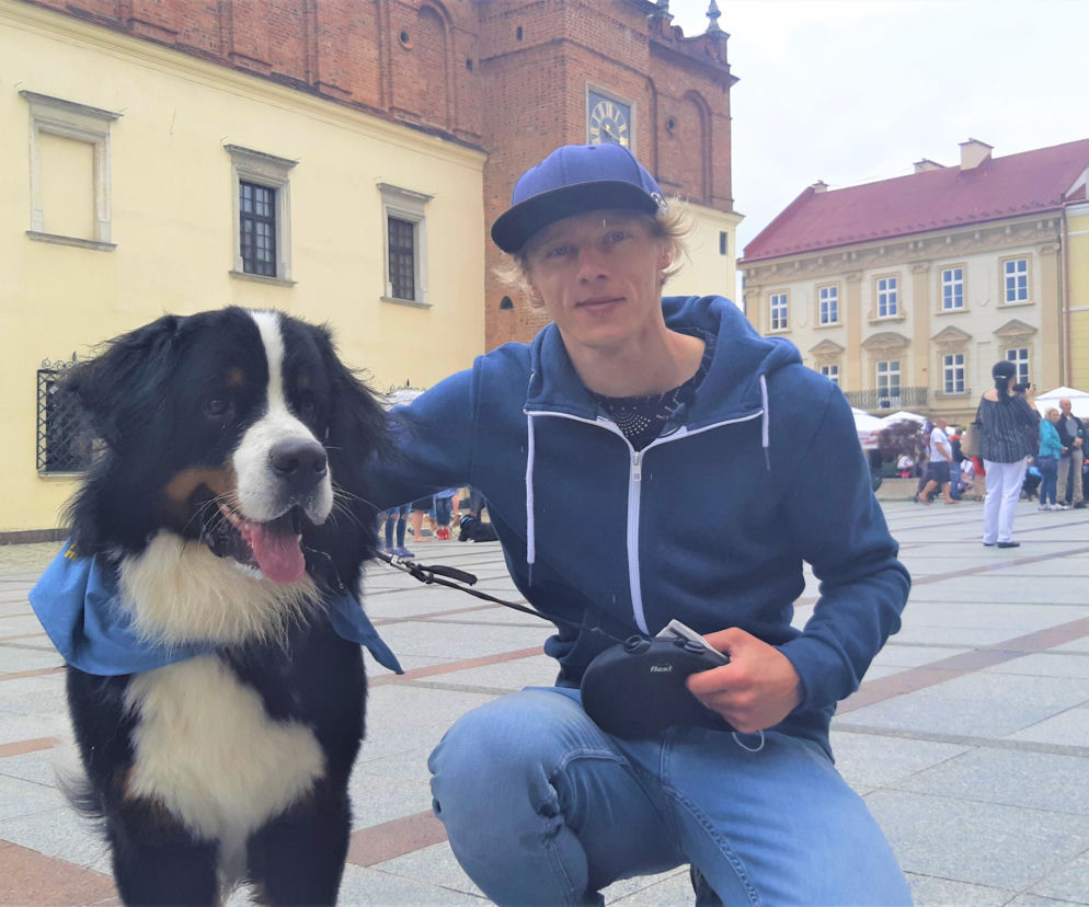 Zlot psów berneńskich w Tarnowie