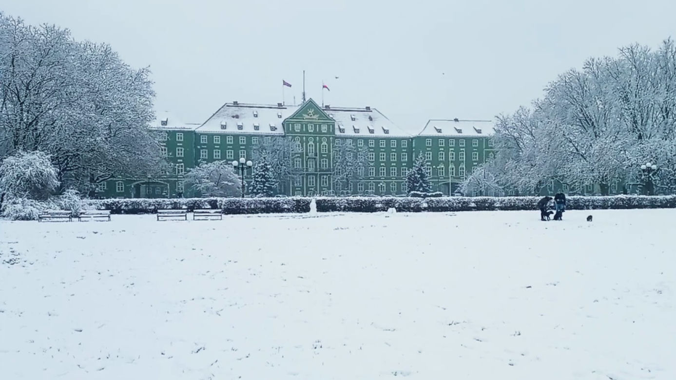 Pierwszy śnieg w Szczecinie