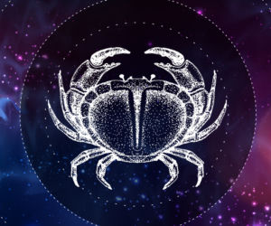 Znaki zodiaku