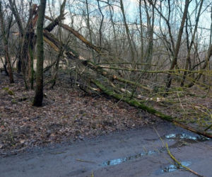 Wichura znów narobiła szkód w Lesznie i powiecie