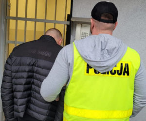 Bydgoscy policjanci zajrzeli do dziury w lesie i zamarli! Tego nikt się nie spodziewał