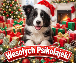 Kartka z życzeniami na Mikołajki