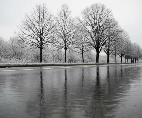 Ostrzeżenia IMGW przed gołoledzią i silnym mrozem. Alerty dla wielu regionów