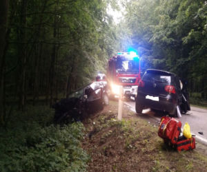 Tragiczny wypadek na trasie Hajnówka - Białowieża. Zginęła kobieta