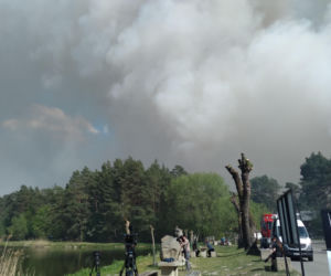 Pożar w Puszczy Białowieskiej